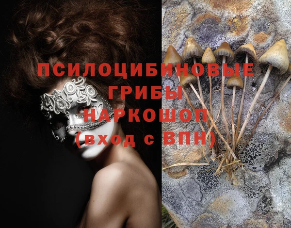 ALPHA-PVP Абинск