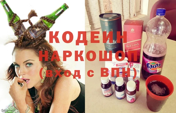 ПСИЛОЦИБИНОВЫЕ ГРИБЫ Гусь-Хрустальный