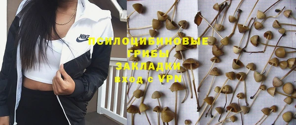 таблы Алексеевка