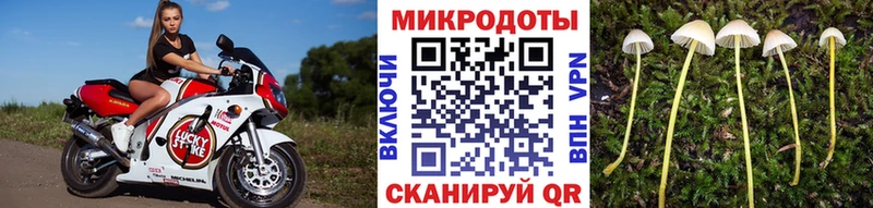 Псилоцибиновые грибы мицелий  Конаково 