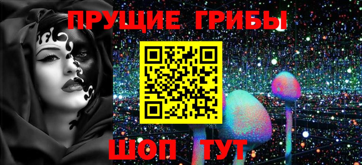 Псилоцибиновые грибы Cubensis  Вход с VPN  Конаково 